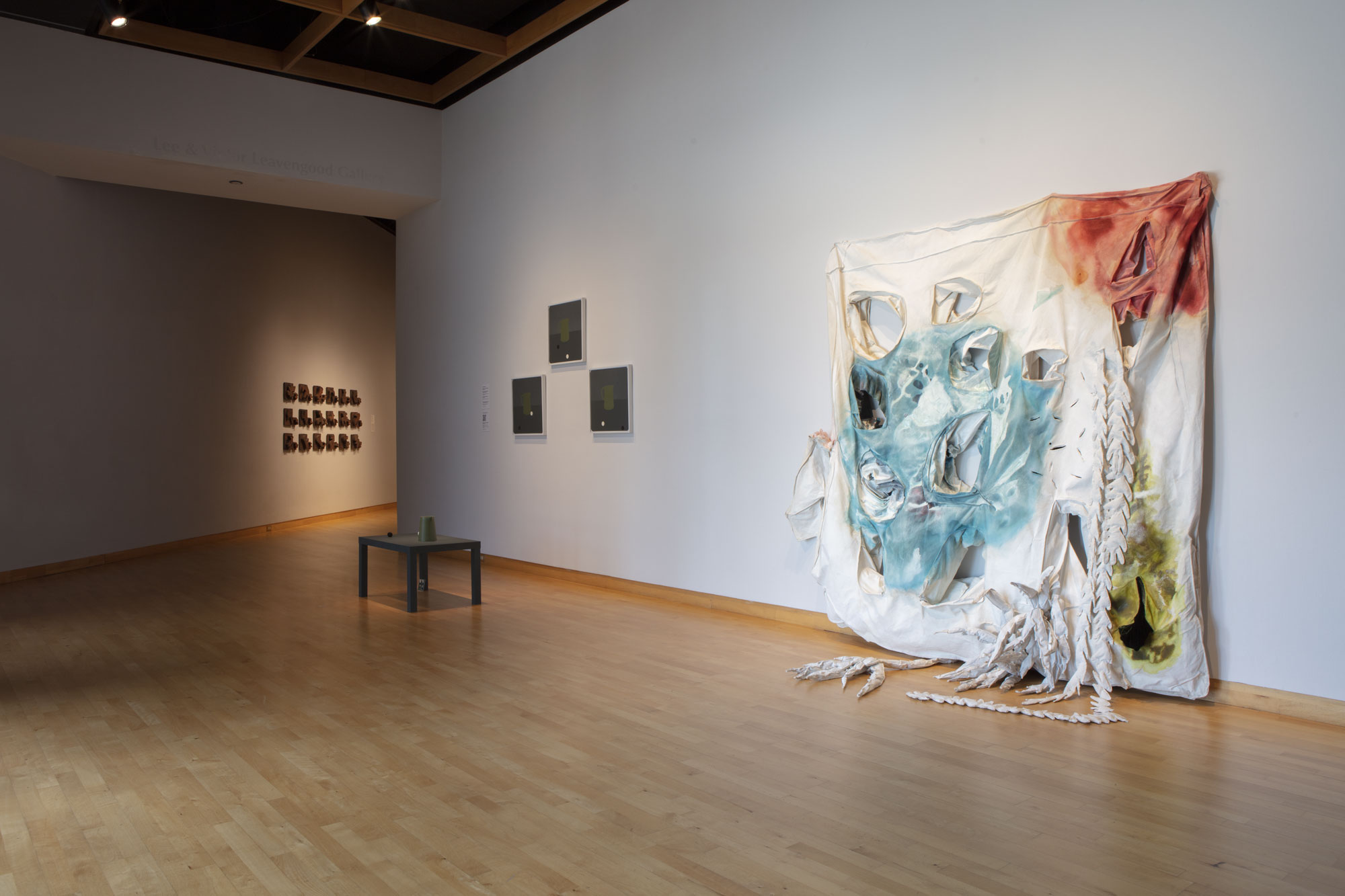 Installation view of Skyway 20/21 exhibition at USF Contemporary Art Museum. Left to right: works by Kodi Thompson, Cynthia Mason, Casey McDonough, and Ry McCollough. Photo: Will Lytch.