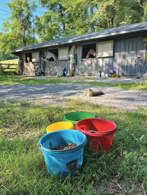 RaeAnne Swanson, Life on the Farm: Breakfast, 2023.