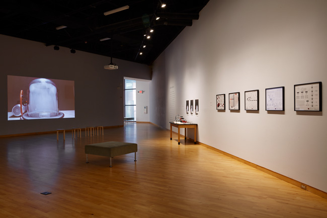 Installation view of The Visible Turn: Contemporary Artists Confront Political Invisibility exhibition at USF Contemporary Art Museum. Photo: Will Lytch.