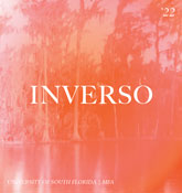 Inverso graphic