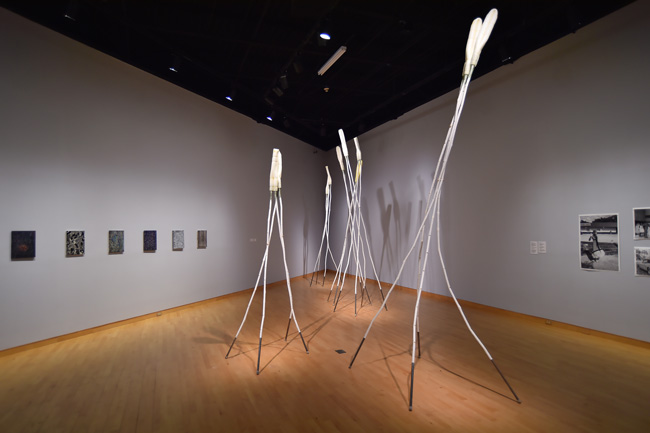 Installation view of I Keep The Ladders Clean: 2024 MFA Thesis exhibition at USF Contemporary Art Museum. Photo: Don Fuller.