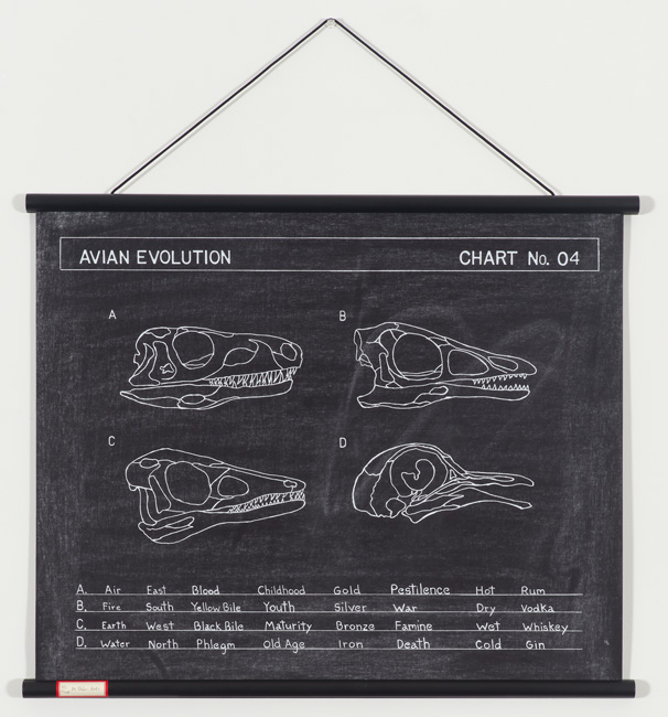 Avian Evolution