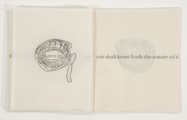 Kiki Smith, The Vitreous Body, 2000