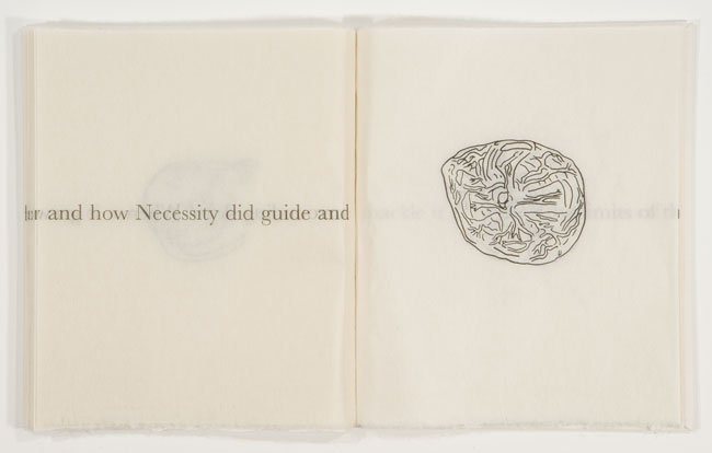 Kiki Smith, The Vitreous Body, 2000